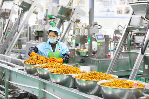 政策呵護預制菜產業茁壯成長 助推三產融合更好實現