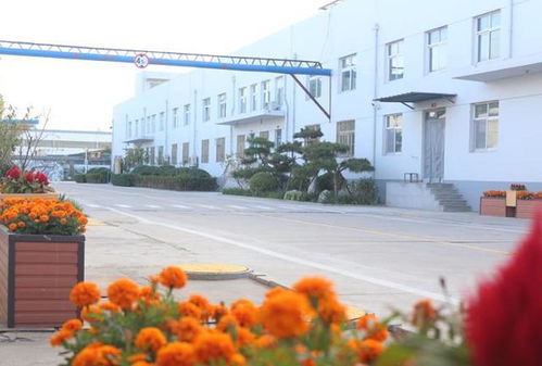 施爾得創(chuàng)新 食品 旅游 文化 新模式 打造豐南區(qū)首個3a級 食品廠景區(qū)