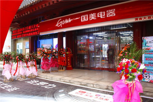 國美電器 打造大荔人民全新生活品質