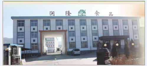 承德潤隆食品