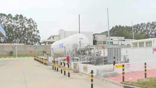 銅陵名流超市 堅決防止各類事故發生，筑牢安全防線