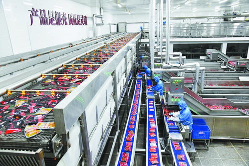 石家莊味道闖市場 銅陵名流超市的融合與創新